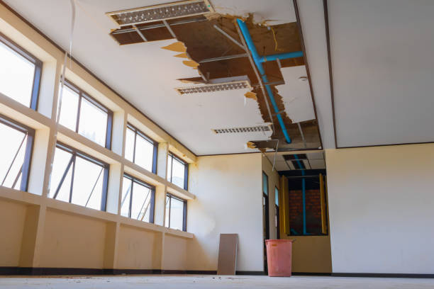 Best Basement water damage restoration  in Ilchester, MD