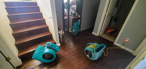 Carpet water damage restoration in MD