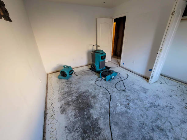 Best 24-hour water damage restoration  in Ilchester, MD