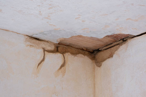 Best Mold removal after water damage  in Ilchester, MD