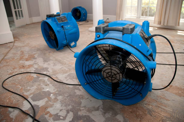 Best Emergency water extraction  in Ilchester, MD