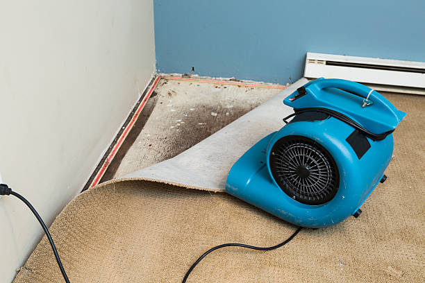 Best Water damage cleanup near me  in Ilchester, MD